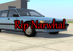 ripnarwhal1.png