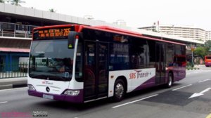 bus.jpg