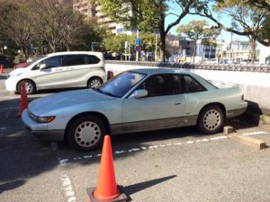 Silvia2.jpg