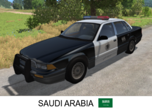 SaudiScreen.png