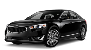 kia.png