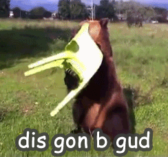 dis gon b gud.gif