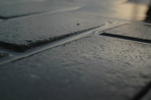 DSC_6484.JPG