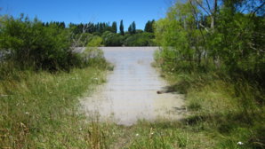 riverground.JPG