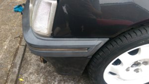 IMAG0310.jpg