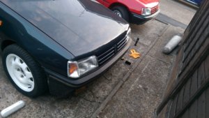 IMAG0320.jpg