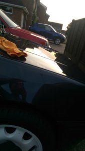 IMAG0316.jpg