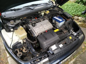 IMG_20160918_120420.jpg