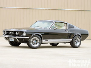 mustang.jpg