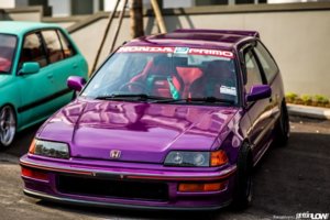 IMG_3384.jpg