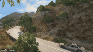 IMG_8276.gif
