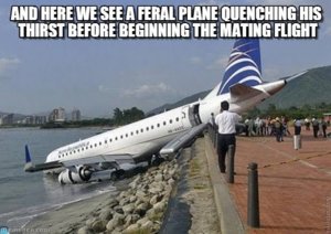 0fd7tq.jpg