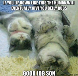 Good-Job-Son.jpg