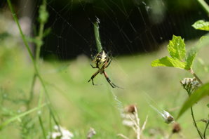 DSC_4909.JPG