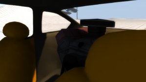 hursthawk 4.jpg
