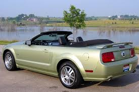 MustangVert.jpg