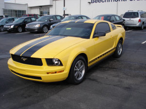 MustangV8.jpg