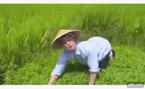 gif4.gif