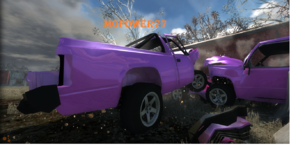 BNGpinkorange.png