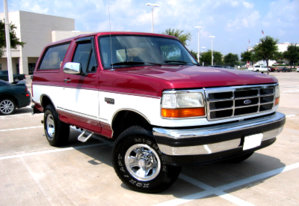 Bronco_gibalriz.jpg