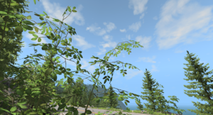 screenshot_00011_bngAA.png