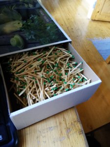 IMG_20170722_124153.jpg