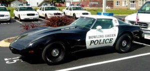 0877f34c9187ed5170e3cd5aeccbae56--corvettes-public-service.jpg