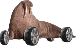 Wheelrus.png