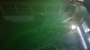 20170729_211715.jpg