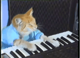 SPEEDkeysboardcat.gif