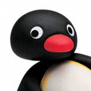 PiNgU.jpg