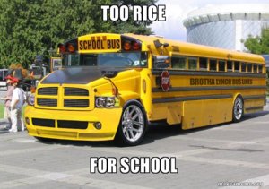 too-rice-for1.jpg