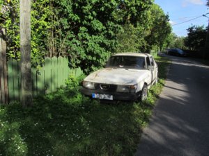 IMG_4206.jpg