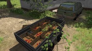 fruit_delivery.jpg