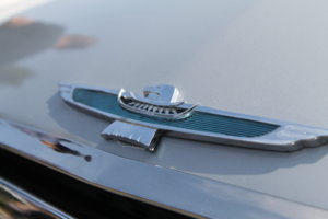 IMG_8529.jpg