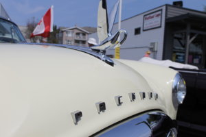 IMG_8542.jpg
