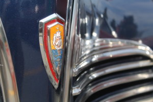 IMG_8566.jpg