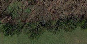 cabin1.png