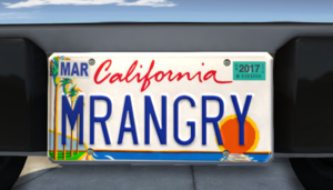 plate1.png