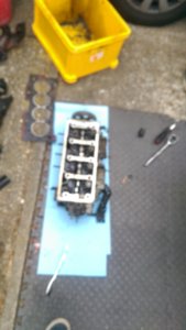 IMAG0240.jpg