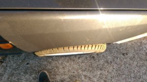 IMAG0305.jpg