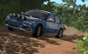 rally.jpg