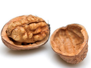 22100414-walnuts2_1.jpg