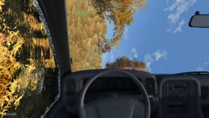 grasssideways.jpg
