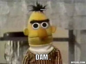 bert-meme-generator-dam-db0427.jpg