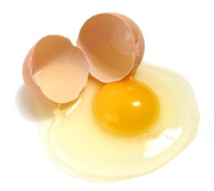 EGG.jpg