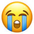 loudly-crying-face_1f62d.png