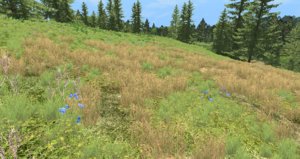 realgrass.jpg