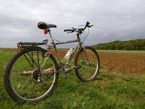 IMG_20170906_192924.jpg