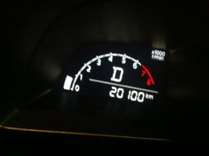 IMG_5543.jpg